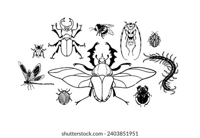 Arthropod animals composition. Various insect species. Stag beetle, bumblebee, dragonfly, sacred scarab, scolopendra coloring book. Contour hand drawn isolated vector illustrations on white background