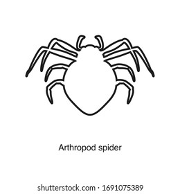 Arthropod spider icon vector on white background. Black icon illustration