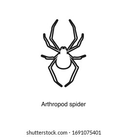 Arthropod spider icon vector on white background. Black icon illustration