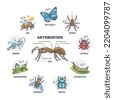 arthropods vector