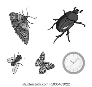 Arthropods insect beetle, moth, butterfly, fly. Insects set collection icons in monochrome style vector symbol stock isometric illustration web.