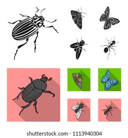 Arthropods insect beetle, moth, butterfly, fly. Insects set collection icons in black, flat style vector symbol stock isometric illustration web.