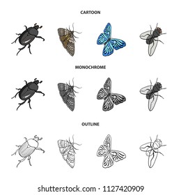 Arthropods insect beetle, moth, butterfly, fly. Insects set collection icons in cartoon,outline,monochrome style vector symbol stock isometric illustration web.