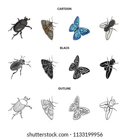 Arthropods insect beetle, moth, butterfly, fly. Insects set collection icons in cartoon,black,outline style vector symbol stock isometric illustration web.