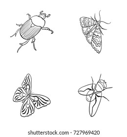 Arthropods insect beetle, moth, butterfly, fly. Insects set collection icons in outline style vector symbol stock isometric illustration web.