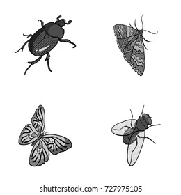 Arthropods insect beetle, moth, butterfly, fly. Insects set collection icons in monochrome style vector symbol stock isometric illustration web.