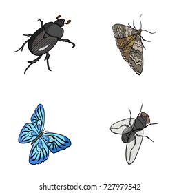 Arthropods insect beetle, moth, butterfly, fly. Insects set collection icons in cartoon style vector symbol stock isometric illustration web.