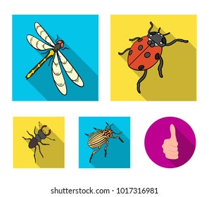 Arthropods Insect ladybird, dragonfly, beetle, Colorado beetle Insects set collection icons in flat style vector symbol stock isometric illustration web.