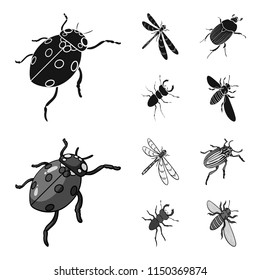 Arthropods Insect ladybird, dragonfly, beetle, Colorado beetle Insects set collection icons in black,monochrom style vector symbol stock isometric illustration web.