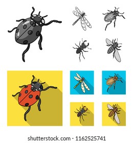 Arthropods Insect ladybird, dragonfly, beetle, Colorado beetle Insects set collection icons in monochrome,flat style vector symbol stock isometric illustration web.