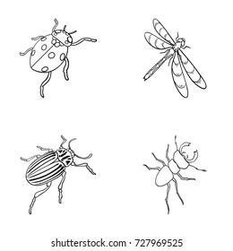 Arthropods Insect ladybird, dragonfly, beetle, Colorado beetle Insects set collection icons in outline style vector symbol stock isometric illustration web.