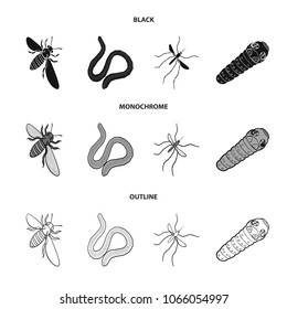 Arthropods insect mosquito, bee.Earth worm, caterpillar,vermicular set collection icons in black,monochrome,outline style vector symbol stock isometric illustration web.