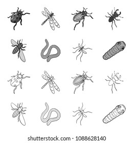 Arthropods insect mosquito, bee.Earth worm, caterpillar,vermicular set collection icons in outline,monochrome style vector symbol stock isometric illustration web.