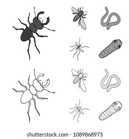 Arthropods insect mosquito, bee.Earth worm, caterpillar,vermicular set collection icons in outline,monochrome style vector symbol stock isometric illustration web.