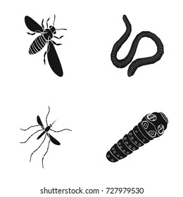 Arthropods insect mosquito, bee.Earth worm, caterpillar,vermicular set collection icons in black style vector symbol stock isometric illustration web.