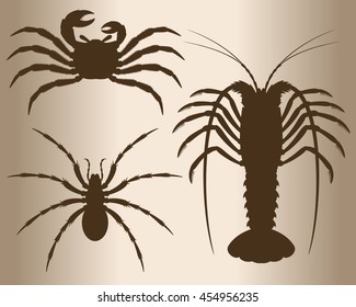 Arthropods. Vector silhouettes of arthropods. Spider, crab and lobster.
