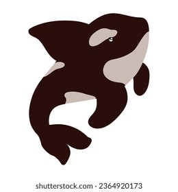 artic animal orca whale isolated icon