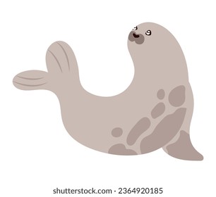 artic animal seal isolated icon