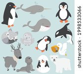 Artic animals cartoon collection big set