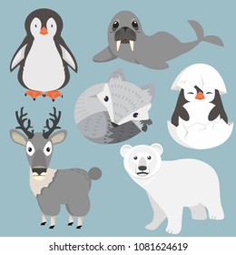 Artic animals cartoon collection Set