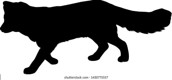 Artic Fox Silhouette Vector Style