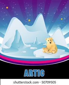 artic vector illustration