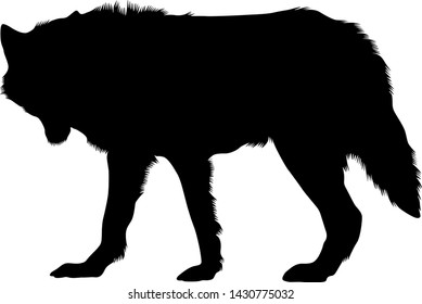 Artic Wolf Silhouette Vector Style