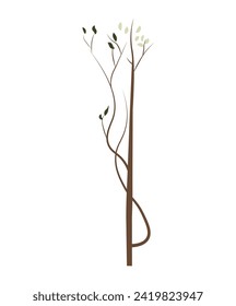 Artichelen tree of colorful set. This whimsical cartoon-style portrayal of a tropical tree takes center stage, set against a tranquil white background. Vector illustration.