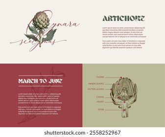 Artichoke banner design. Modern web design. Graphic resource. Artichoke illustration