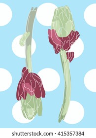 Artichoke botanical  isolated vector background with polka dot.