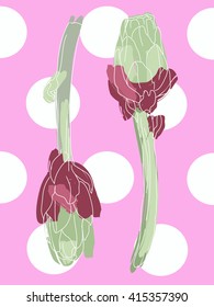 Artichoke botanical  isolated vector background with polka dot.