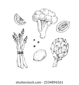 Alcachofa, brócoli, espárragos, limón y pimienta dibujado a mano composición de tinta aislada sobre fondo blanco. Vector boceto blanco y negro conjunto de ilustraciones vegetales. Para el diseño de etiquetas de alimentos