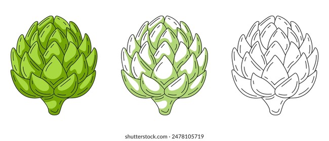 Artichoke, colorful and line icons set. Farm vegetable vector outline icon, monochrome, color illustration. Healthy nutrition, organic food, vegetarian product. For sticker, logo, coloring book