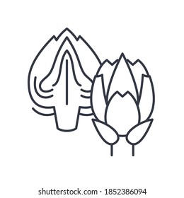 Icono de concepto Artichoke, ilustración lineal aislada, vector de línea delgada, signo de diseño web, símbolo de concepto de contorno con trazo editable sobre fondo blanco.