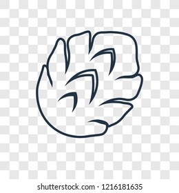 Artichoke concept vector linear icon isolated on transparent background, Artichoke concept transparency concept in outline style