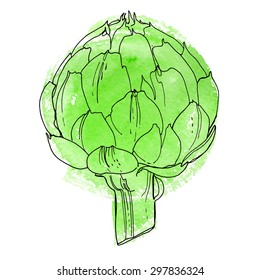 Artichoke drawn on a white background. Artichoke painted with watercolors, colored vegetables.
