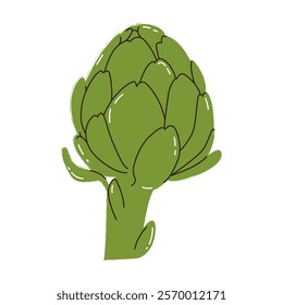 Artichoke. Edible plant - artichoke. Healthy eating, organic gardening French artichoke, green, and globe artichoke. Botanical picture. Modern poster with hand drawn design for wall decor