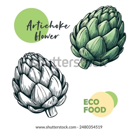 Similar – Image, Stock Photo Artichoke ink black and white drawing