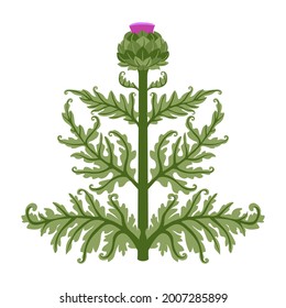 artichoke flower with green leaves, floral decorative element for patterns, ornaments, color vector illustration isolated on a white background in a cartoon and flat design