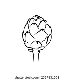 Ilustración vectorial de la cabeza de la flor de alcachofa. Alumnos de alcachofa en un primer plano al estilo del doodle. Gráfico esbozado en estilo Esquema, aislado en un fondo blanco. Artesanía vegetal orgánica, concepto de comida saludable