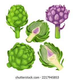 artichoke food set cartoon. fresh raw, green healthy organic vegetable, plant ingredient, nutrition vegetarian flower, natural artichoke food vector illustration