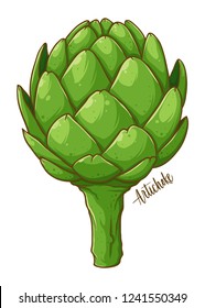 Artichoke fresh natural vegetable, hand drawn vector illustration isolated