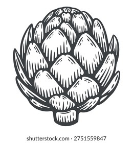 Artichoke, fresh vegetable, edible bud, hand-drawn, black and white, graphic illustration, engraving isolated