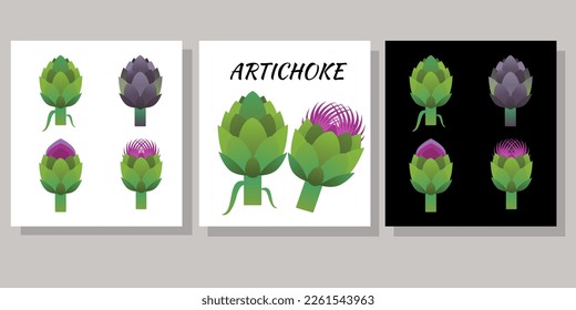 Artichoke green flower heads isolated on white. Vector illustration of edible vegetable used in cooking, herbal tea, liqueur and in medical researches.