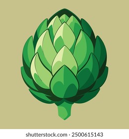 Artichoke green flower heads vector illustration. Food artichoke in cartoon style close-up.