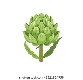 Artichoke green flower heads vector illustration. Food artichoke in cartoon style close-up