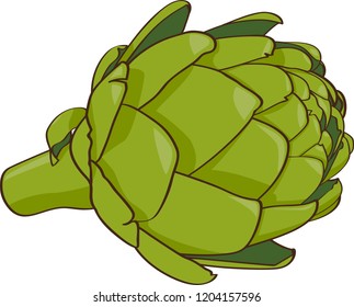 Artichoke, green leaf