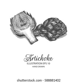 Artichoke hand drawn illustration by ink and pen sketch. Isolated vector elements design for fruit and vegetable products and health care goods.