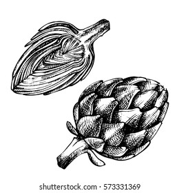 Artichoke Hand Drawn Ink Illustration. Sketch Fresh Organic Vegetable, Herb Engraved. Detailed Food Drawing.