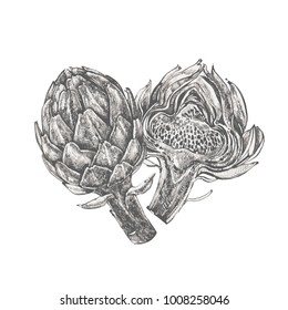 Artichoke. Hand drawn vector illustration. Can be used for shop, menu, cafe, restaurant, poster, banner.